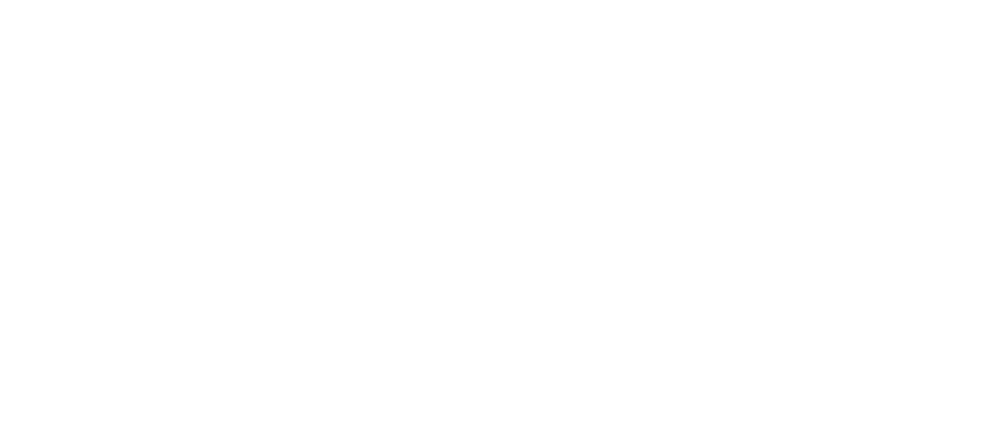 Cliffie Dippenaar Motors — Est. 2000